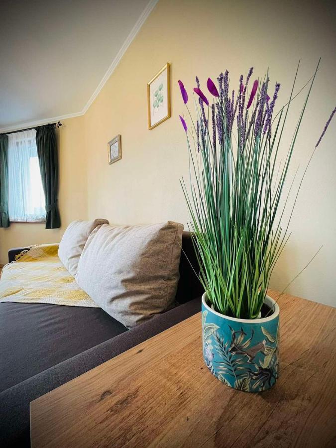 The Green Guest House Of Veliko Tarnovo-Amazing View, Top Location ภายนอก รูปภาพ